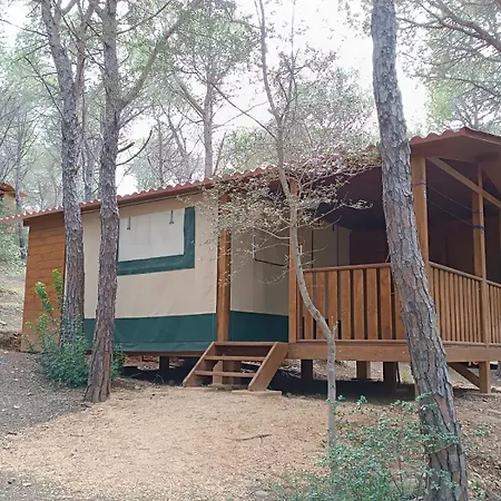 Villaggio Calapineta 3* 西尼斯科拉